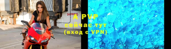 твердый Вяземский