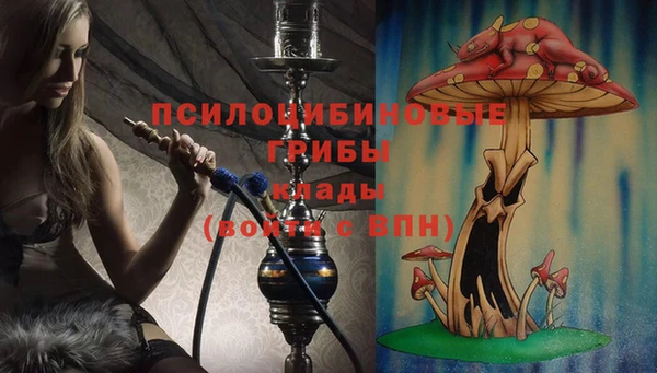 ECSTASY Вязники
