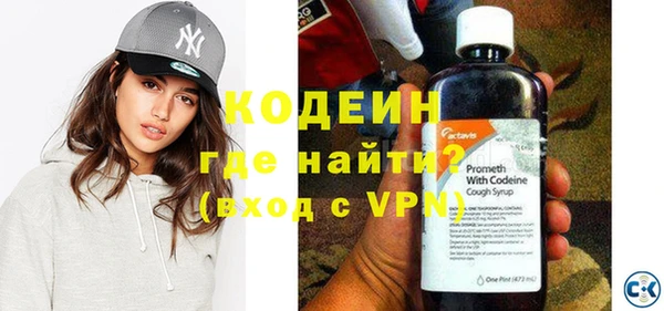 твердый Вяземский