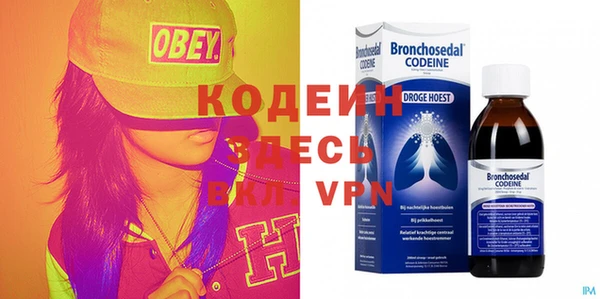 твердый Вяземский
