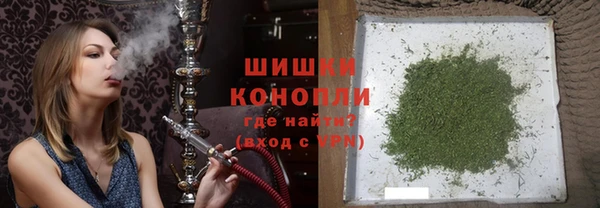 твердый Вяземский