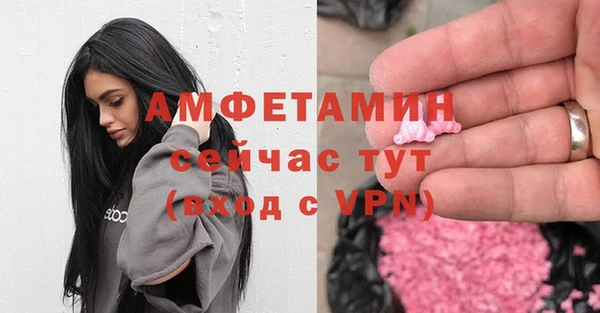твердый Вяземский