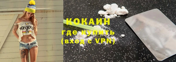 твердый Вяземский